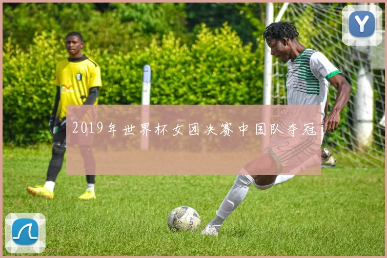 2019年世界杯女团决赛中国队夺冠