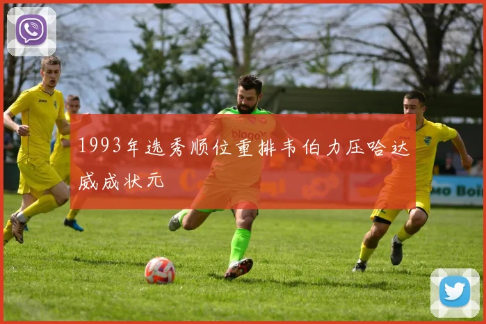 1993年选秀顺位重排韦伯力压哈达威成状元